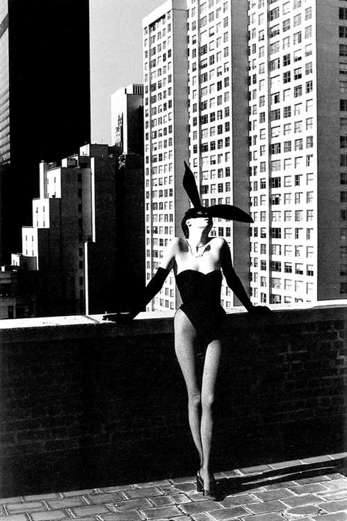 20120906HelmutNewton_1.jpg