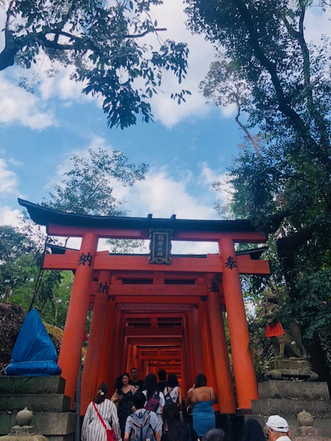 tn09282.jpeg